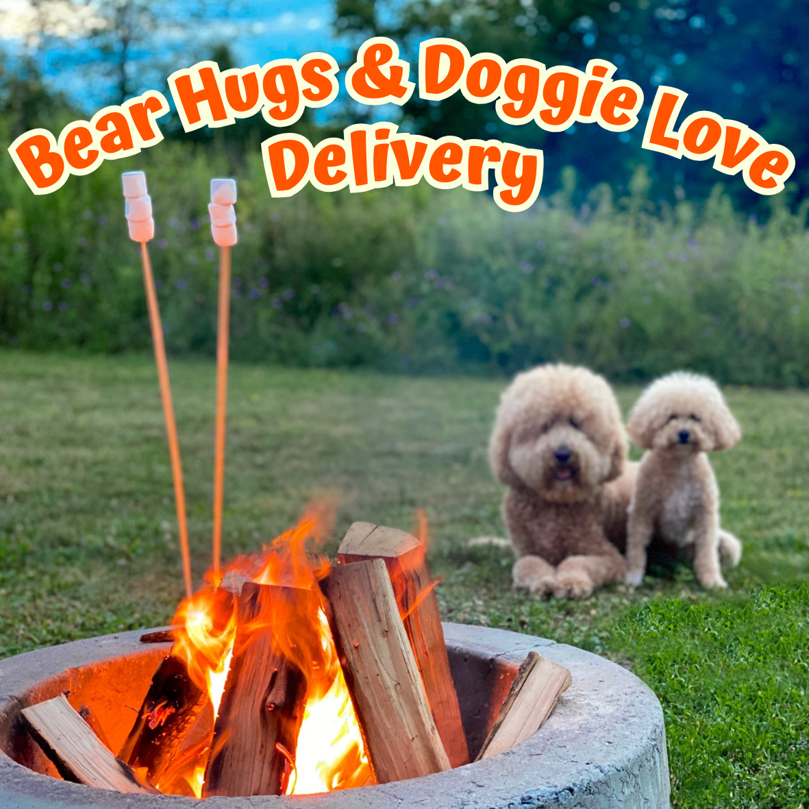 Bear Hugs Doggie Love