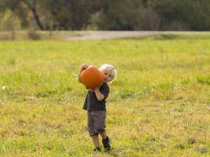 Little Boy Carrying Pumpkin