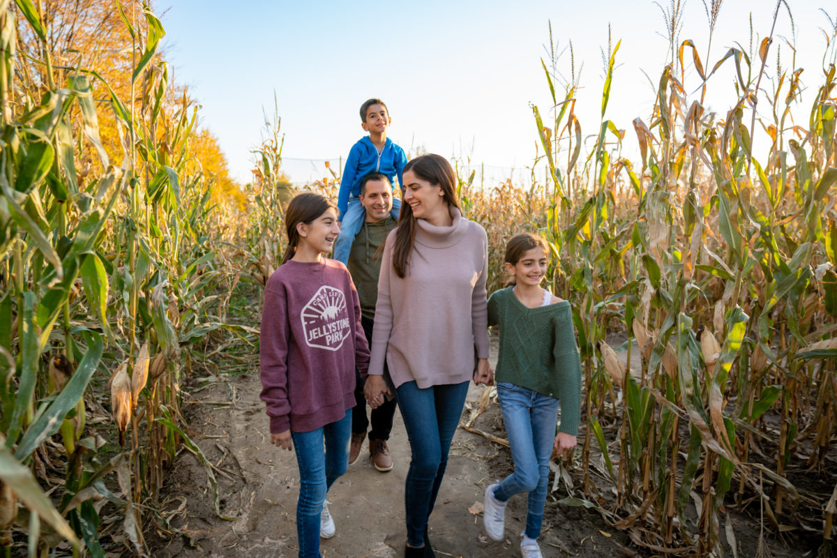 Corn Maze at Jellystone Park South Haven Family walking through the corn maze at Jellystone Park South Haven